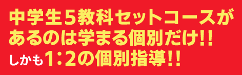 中学生5教科セットコースがあるのは学まる個別だけ!!しかも1:2の個別指導!!